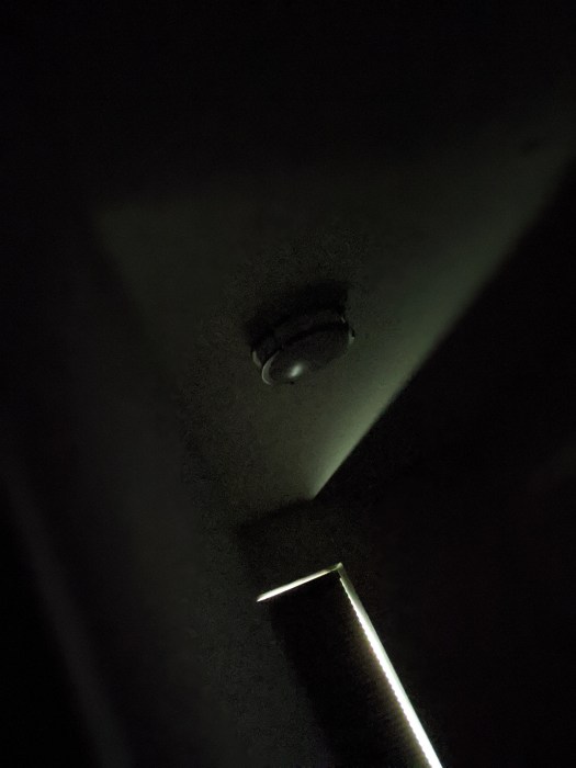 00100lrPORTRAIT_00100_BURST20200323081737442_COVER