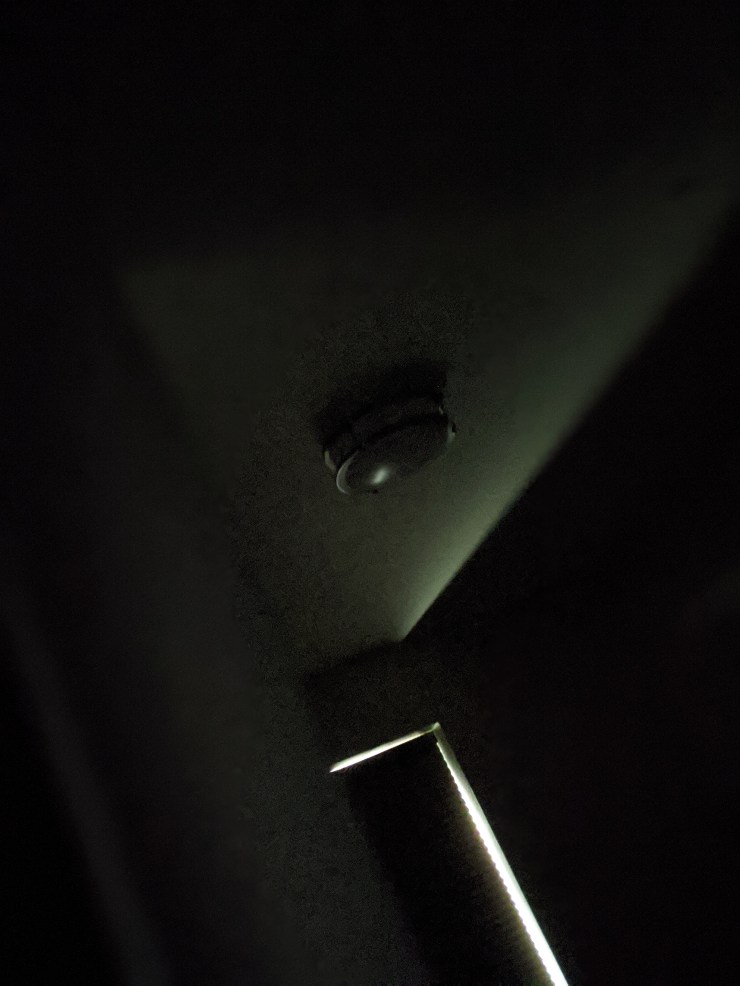 00100lrPORTRAIT_00100_BURST20200323081737442_COVER